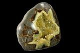 Beautiful, Crystal Filled Septarian Geode - Utah #149960-2